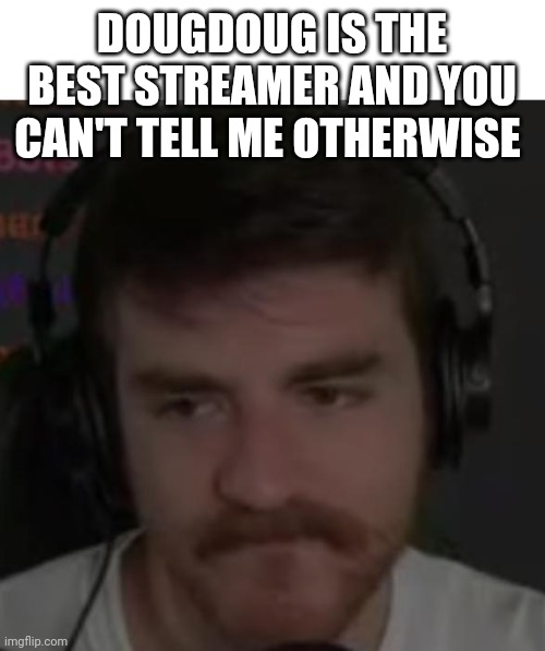 DougWhy | DOUGDOUG IS THE BEST STREAMER AND YOU CAN'T TELL ME OTHERWISE | image tagged in dougwhy | made w/ Imgflip meme maker