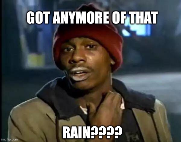 Y'all Got Any More Of That | GOT ANYMORE OF THAT; RAIN???? | image tagged in memes,y'all got any more of that | made w/ Imgflip meme maker