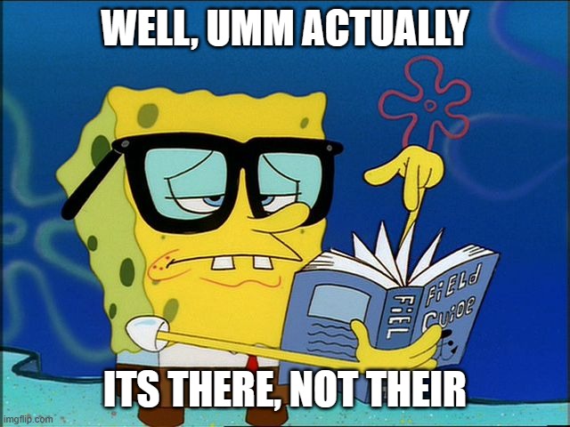 Spongebob nerd | WELL, UMM ACTUALLY ITS THERE, NOT THEIR | image tagged in spongebob nerd | made w/ Imgflip meme maker