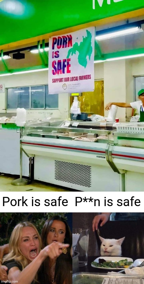 Pork is safe; P**n is safe | image tagged in memes,woman yelling at cat,porn,pork,philippines,facebook | made w/ Imgflip meme maker