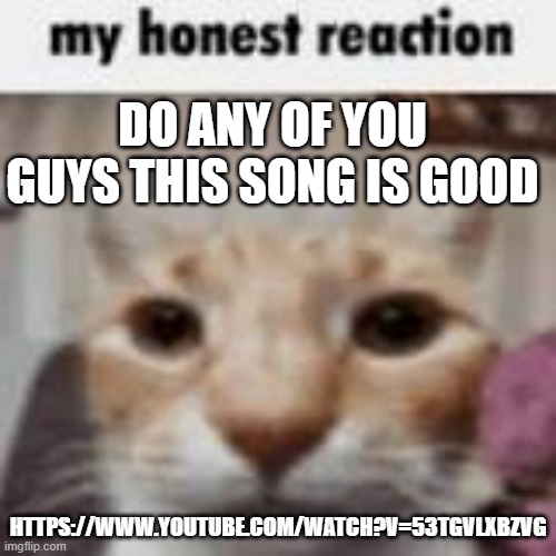 My Honest Reaction | DO ANY OF YOU GUYS THIS SONG IS GOOD; HTTPS://WWW.YOUTUBE.COM/WATCH?V=53TGVLXBZVG | image tagged in my honest reaction | made w/ Imgflip meme maker