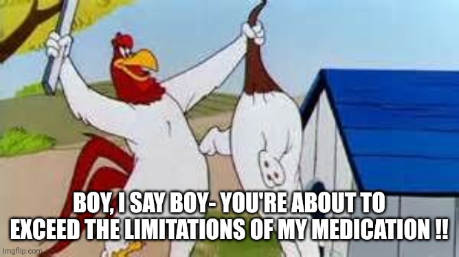 Foghorn Leghorn Meds | BOY, I SAY BOY- YOU'RE ABOUT TO EXCEED THE LIMITATIONS OF MY MEDICATION !! | image tagged in foghorn leghorn | made w/ Imgflip meme maker