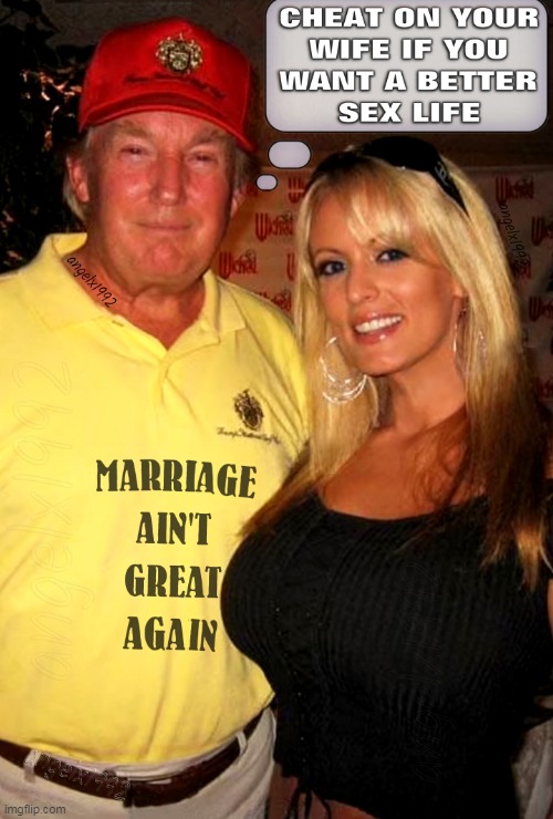 image tagged in florida,marriage,stormy daniels,maga morons,clown car republicans,cheaters | made w/ Imgflip meme maker