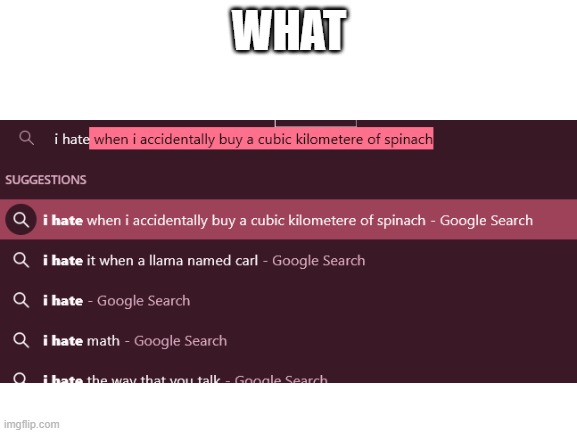 Excuse me, what the heck. | WHAT | image tagged in blank white template | made w/ Imgflip meme maker