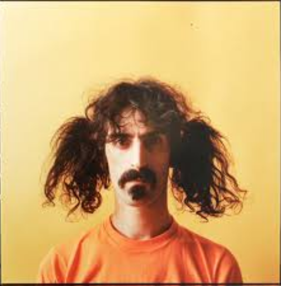 Zappa Pigtails Blank Meme Template
