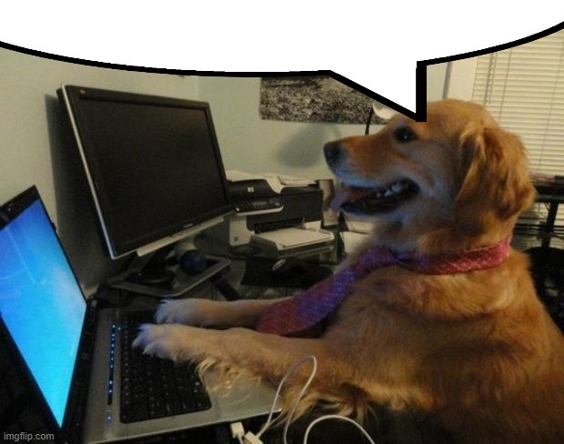Dog behind a computer | image tagged in dog behind a computer | made w/ Imgflip meme maker