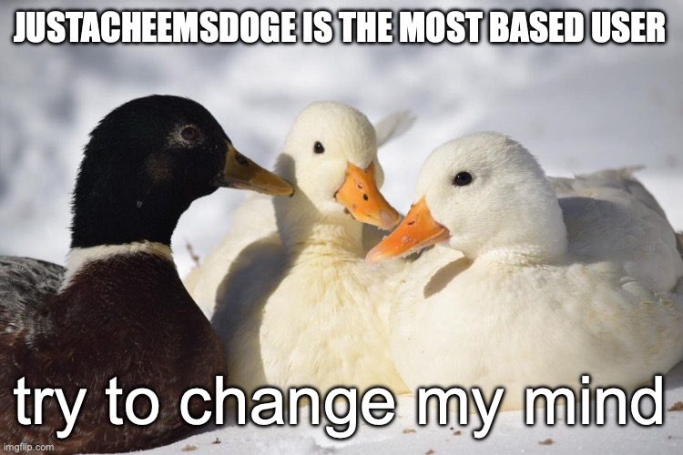 Dunkin Ducks | JUSTACHEEMSDOGE IS THE MOST BASED USER; try to change my mind | image tagged in dunkin ducks | made w/ Imgflip meme maker