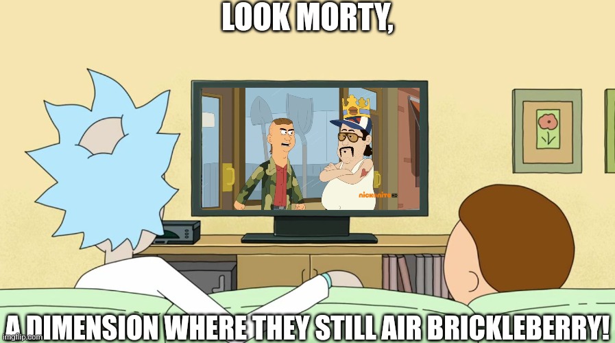 I wish Brickleberry was still on the air... ? | LOOK MORTY, A DIMENSION WHERE THEY STILL AIR BRICKLEBERRY! | image tagged in rick and morty inter-dimensional cable,brickleberry,rick and morty,cancelled,comedy central | made w/ Imgflip meme maker