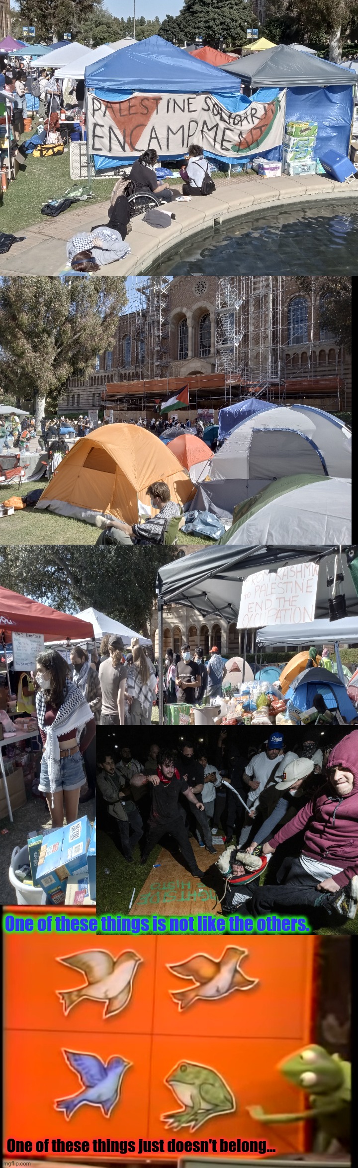 One of these things is not like the others. One of these things just doesn't belong... | image tagged in brian's black background,double long black template,one of these things doesn't belong | made w/ Imgflip meme maker