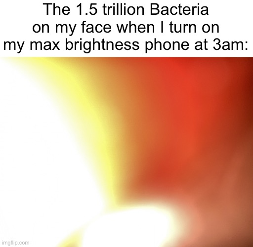 Flashbang | The 1.5 trillion Bacteria on my face when I turn on my max brightness phone at 3am: | image tagged in flashbang | made w/ Imgflip meme maker