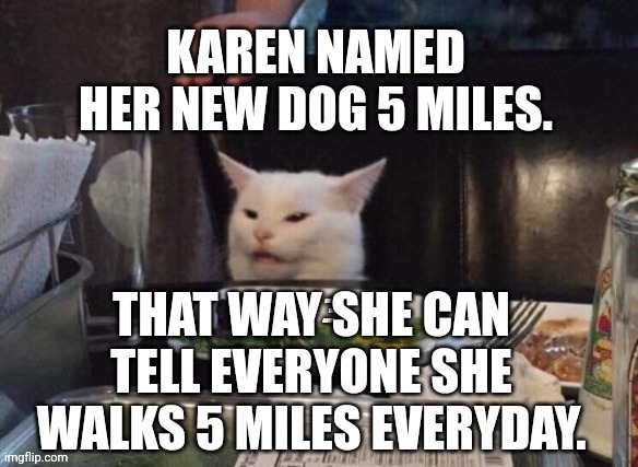 Smudge that darn cat | KAREN NAMED HER NEW DOG 5 MILES. THAT WAY SHE CAN TELL EVERYONE SHE WALKS 5 MILES EVERYDAY. | image tagged in smudge that darn cat | made w/ Imgflip meme maker