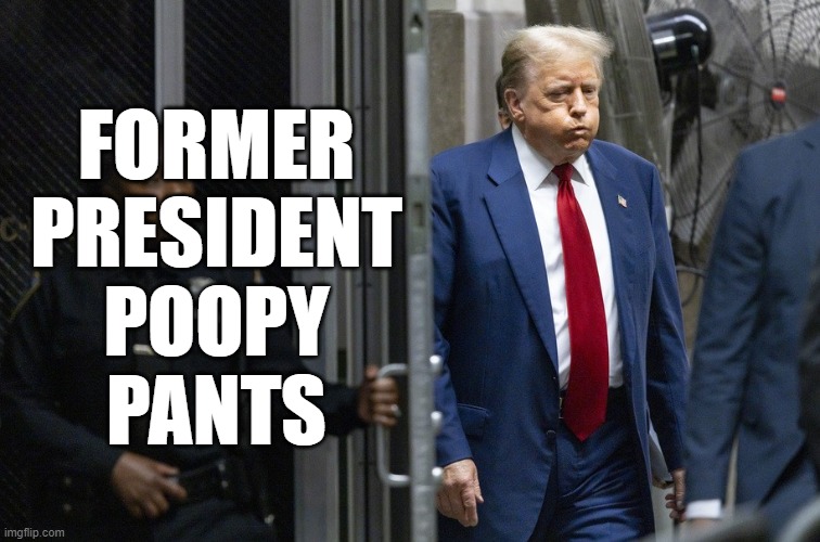 FORMER
PRESIDENT
POOPY
PANTS | image tagged in trump,poop,pooping | made w/ Imgflip meme maker