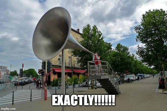 megaphone | EXACTLY!!!!!! | image tagged in megaphone | made w/ Imgflip meme maker
