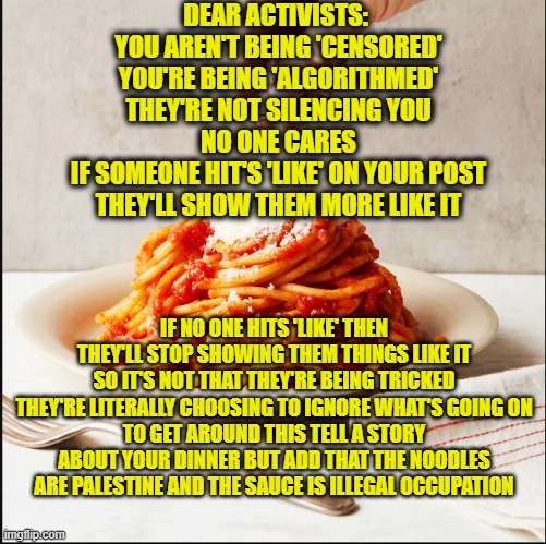 Sauce plz | DEAR ACTIVISTS: 
YOU AREN'T BEING 'CENSORED'
YOU'RE BEING 'ALGORITHMED'
THEY'RE NOT SILENCING YOU
NO ONE CARES
IF SOMEONE HIT'S 'LIKE' ON YOUR POST
THEY'LL SHOW THEM MORE LIKE IT; IF NO ONE HITS 'LIKE' THEN THEY'LL STOP SHOWING THEM THINGS LIKE IT
SO IT'S NOT THAT THEY'RE BEING TRICKED
THEY'RE LITERALLY CHOOSING TO IGNORE WHAT'S GOING ON
TO GET AROUND THIS TELL A STORY ABOUT YOUR DINNER BUT ADD THAT THE NOODLES ARE PALESTINE AND THE SAUCE IS ILLEGAL OCCUPATION | image tagged in war,palestine,israel,activism,pasta,sauce | made w/ Imgflip meme maker