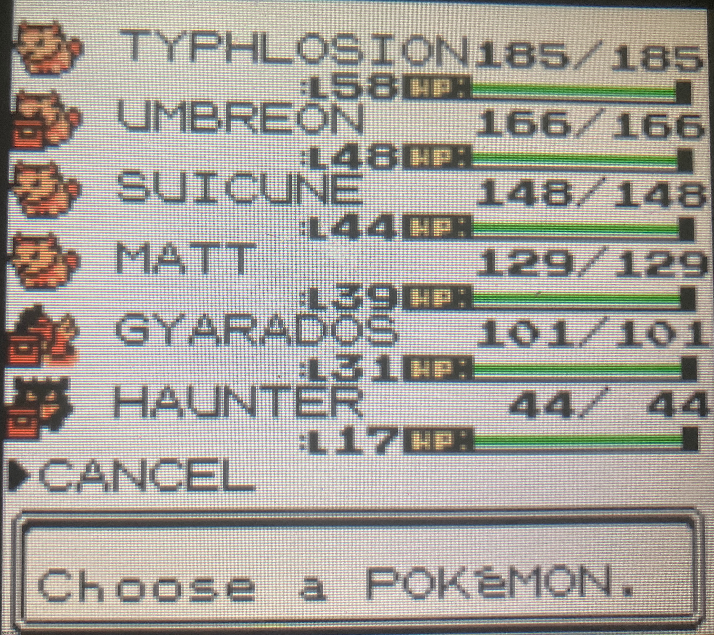 My Crystal Pokemon Team (Matt is Furret) | made w/ Imgflip meme maker