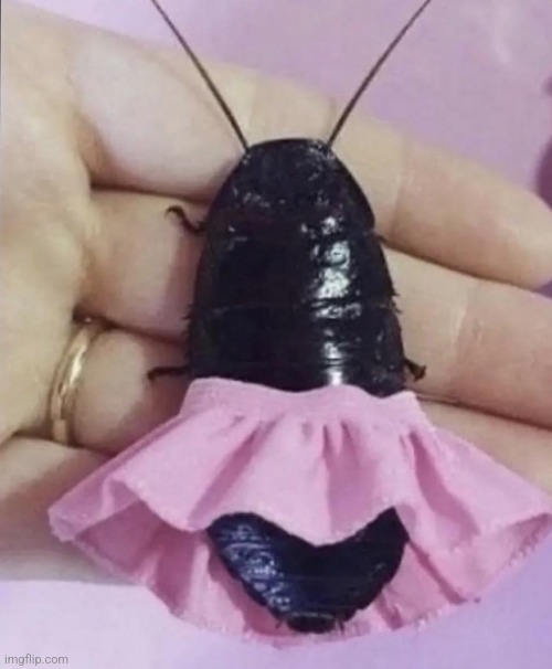 Look at my cute cock | made w/ Imgflip meme maker