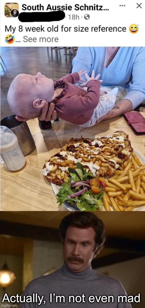 Schnitzel vs baby | Actually, I’m not even mad | image tagged in actually im not even mad,baby,schnitzel,comparison | made w/ Imgflip meme maker