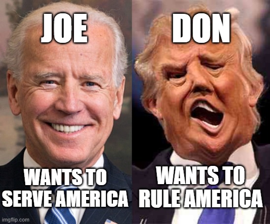 Biden solid stable Trump fatty acid and drugs | JOE; DON; WANTS TO RULE AMERICA; WANTS TO SERVE AMERICA | image tagged in biden solid stable trump acid drugs,change my mind,two buttons,two paths,red pill blue pill,uno draw 25 cards | made w/ Imgflip meme maker