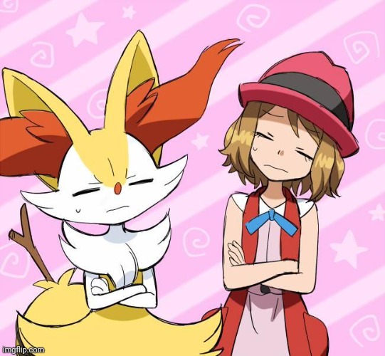 You lot know why | image tagged in serena,braixen | made w/ Imgflip meme maker