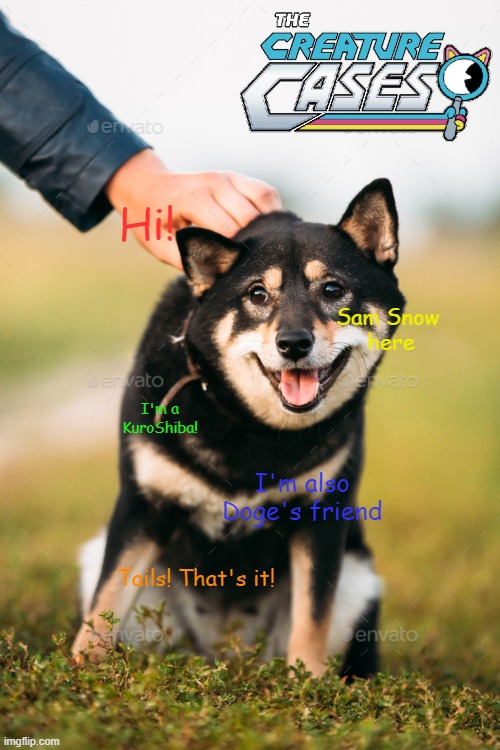 The Creature Cases - Sam Snow as a Doge Meme | Hi! Sam Snow 
here; I'm a KuroShiba! I'm also Doge's friend; Tails! That's it! | image tagged in the creature cases,doge,memes,sam snow | made w/ Imgflip meme maker