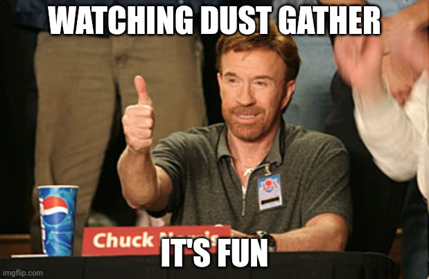 Chuck Norris Approves Meme | WATCHING DUST GATHER; IT'S FUN | image tagged in memes,chuck norris approves,chuck norris | made w/ Imgflip meme maker