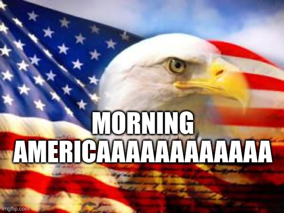 American Flag | MORNING AMERICAAAAAAAAAAAA | image tagged in american flag | made w/ Imgflip meme maker