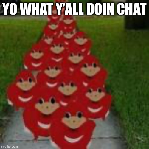 Knuckles | YO WHAT Y’ALL DOIN CHAT | image tagged in knuckles | made w/ Imgflip meme maker