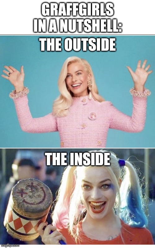 graffgirls in a nutshell | GRAFFGIRLS IN A NUTSHELL:; THE OUTSIDE; THE INSIDE | image tagged in blank white template,barbie versus harley quinn | made w/ Imgflip meme maker