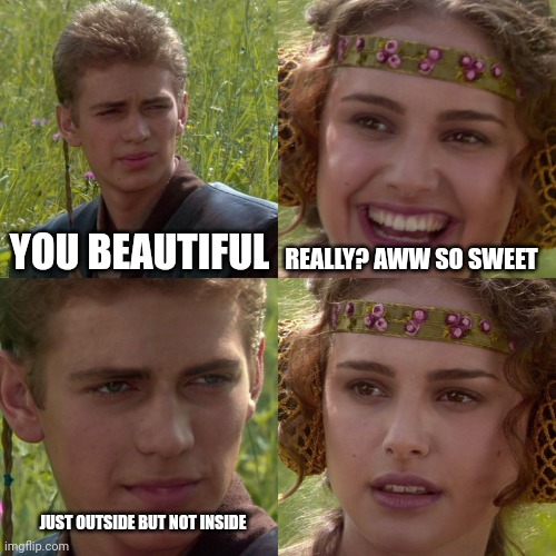 Judge by book by it cover | YOU BEAUTIFUL; REALLY? AWW SO SWEET; JUST OUTSIDE BUT NOT INSIDE | image tagged in anakin padme 4 panel | made w/ Imgflip meme maker