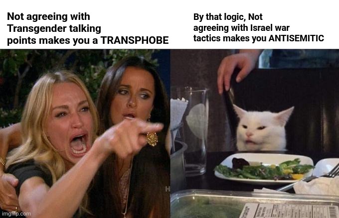 Woman Yelling At Cat | Not agreeing with Transgender talking points makes you a TRANSPHOBE; By that logic, Not agreeing with Israel war tactics makes you ANTISEMITIC | image tagged in memes,woman yelling at cat | made w/ Imgflip meme maker