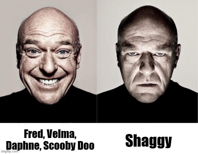 so called "mui shaggy" is baloney bullshit | Shaggy; Fred, Velma,
Daphne, Scooby Doo | image tagged in breaking bad smile frown | made w/ Imgflip meme maker