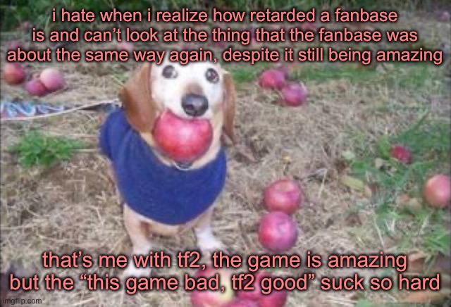 this dock | i hate when i realize how retarded a fanbase is and can’t look at the thing that the fanbase was about the same way again, despite it still being amazing; that’s me with tf2, the game is amazing but the “this game bad, tf2 good” suck so hard | image tagged in this dock | made w/ Imgflip meme maker