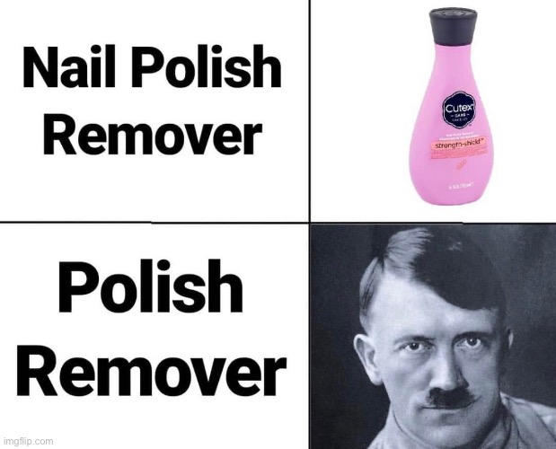 Polish remover | image tagged in nazi,polish,hitler,adolf hitler | made w/ Imgflip meme maker