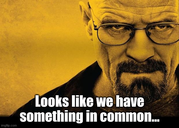 Breaking bad | Looks like we have something in common... | image tagged in breaking bad | made w/ Imgflip meme maker