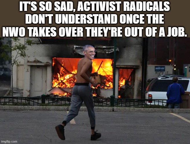 The Big Dummies | IT'S SO SAD, ACTIVIST RADICALS DON'T UNDERSTAND ONCE THE NWO TAKES OVER THEY'RE OUT OF A JOB. | image tagged in democrats | made w/ Imgflip meme maker