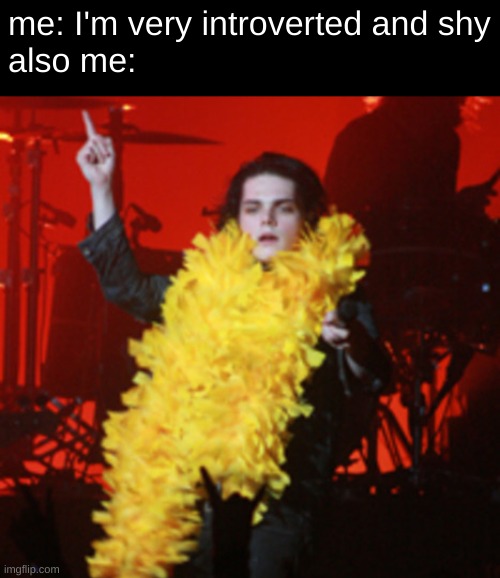 gm chat | me: I'm very introverted and shy
also me: | image tagged in boa,gerard way,introvert,mcr,gerard is a diva | made w/ Imgflip meme maker