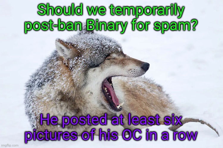 If that doesn't count as spam, IDK what does | Should we temporarily post-ban Binary for spam? He posted at least six pictures of his OC in a row | image tagged in yawning wolf | made w/ Imgflip meme maker