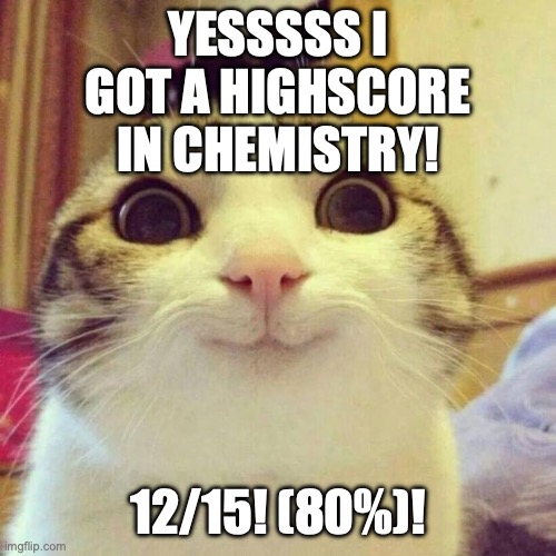 wooooooo | YESSSSS I GOT A HIGHSCORE IN CHEMISTRY! 12/15! (80%)! | image tagged in memes,smiling cat,funny,acievements | made w/ Imgflip meme maker