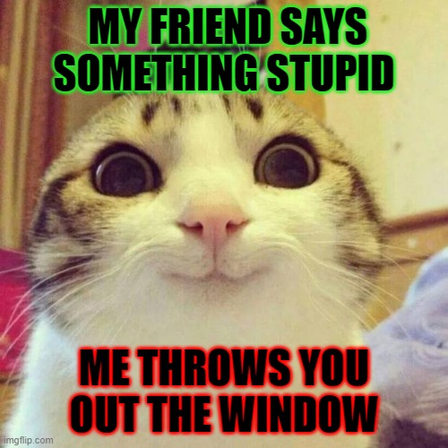 Smiling Cat Meme | MY FRIEND SAYS SOMETHING STUPID; ME THROWS YOU OUT THE WINDOW | image tagged in memes,smiling cat | made w/ Imgflip meme maker