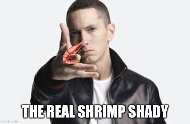 YO GUYS ITS THE REAL SHRIMP SHADY | THE REAL SHRIMP SHADY | image tagged in eminem | made w/ Imgflip meme maker