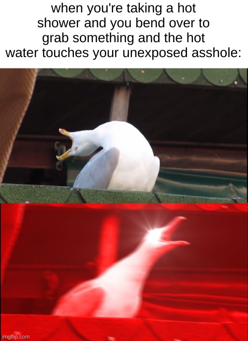 Screaming bird | when you're taking a hot shower and you bend over to grab something and the hot water touches your unexposed asshole: | image tagged in screaming bird | made w/ Imgflip meme maker