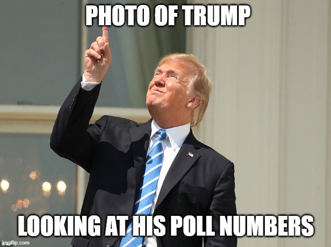 sky- rocketing poll numbers | PHOTO OF TRUMP; LOOKING AT HIS POLL NUMBERS | image tagged in trump looking at the sun | made w/ Imgflip meme maker