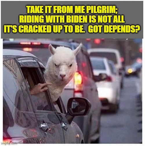 Consider this low hanging fruit Sunday; even if it is a Monday. | TAKE IT FROM ME PILGRIM; RIDING WITH BIDEN IS NOT ALL IT'S CRACKED UP TO BE.  GOT DEPENDS? | image tagged in yep | made w/ Imgflip meme maker