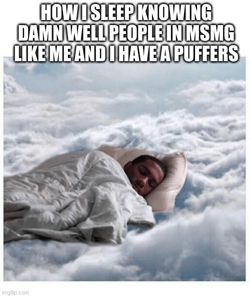 How I sleep knowing | HOW I SLEEP KNOWING DAMN WELL PEOPLE IN MSMG LIKE ME AND I HAVE A PUFFERS | image tagged in how i sleep knowing | made w/ Imgflip meme maker