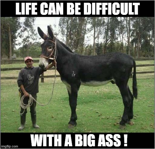 Some People Know This To Be True ! | LIFE CAN BE DIFFICULT; WITH A BIG ASS ! | image tagged in life lessons,big ass,play on words | made w/ Imgflip meme maker