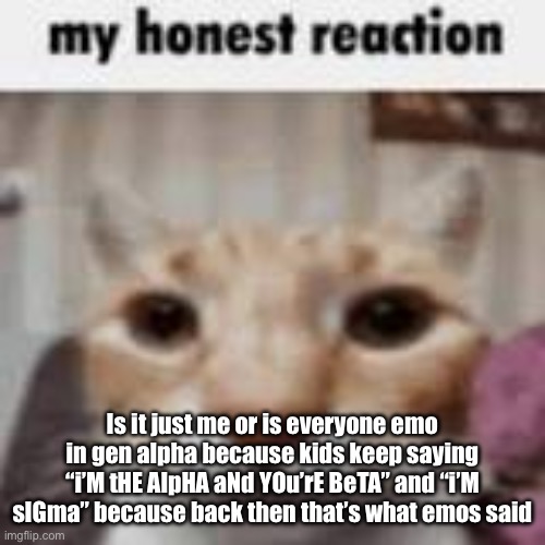 Like I’m serious | Is it just me or is everyone emo in gen alpha because kids keep saying “i’M tHE AlpHA aNd YOu’rE BeTA” and “i’M sIGma” because back then that’s what emos said | image tagged in my honest reaction | made w/ Imgflip meme maker
