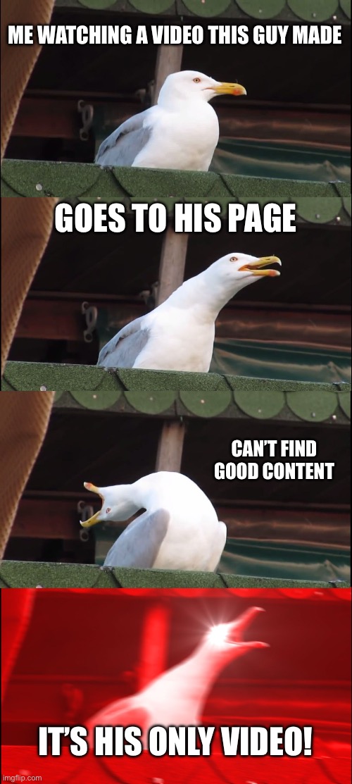 Inhaling Seagull Meme | ME WATCHING A VIDEO THIS GUY MADE; GOES TO HIS PAGE; CAN’T FIND GOOD CONTENT; IT’S HIS ONLY VIDEO! | image tagged in memes,inhaling seagull | made w/ Imgflip meme maker