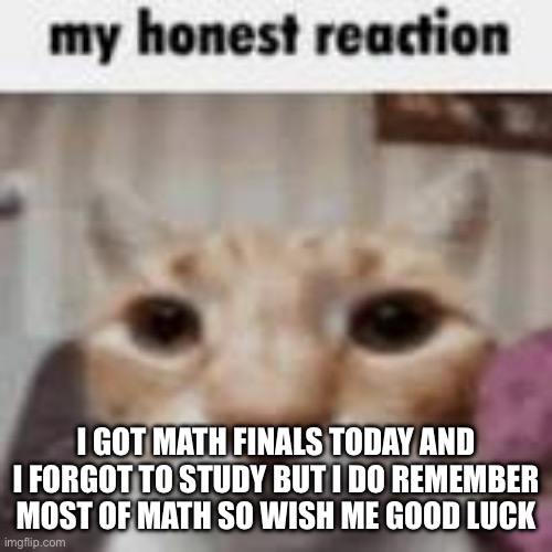 My Honest Reaction | I GOT MATH FINALS TODAY AND I FORGOT TO STUDY BUT I DO REMEMBER MOST OF MATH SO WISH ME GOOD LUCK | image tagged in my honest reaction | made w/ Imgflip meme maker