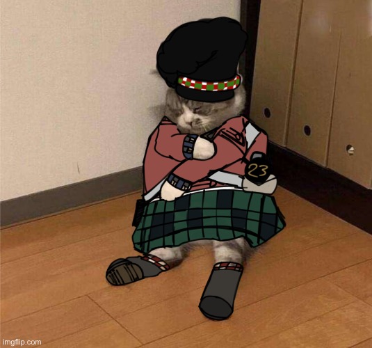 Day 4 of cats in Guts and Blackpowder uniforms | image tagged in gutsandblackpowder,cats,memes,uniform,roblox | made w/ Imgflip meme maker