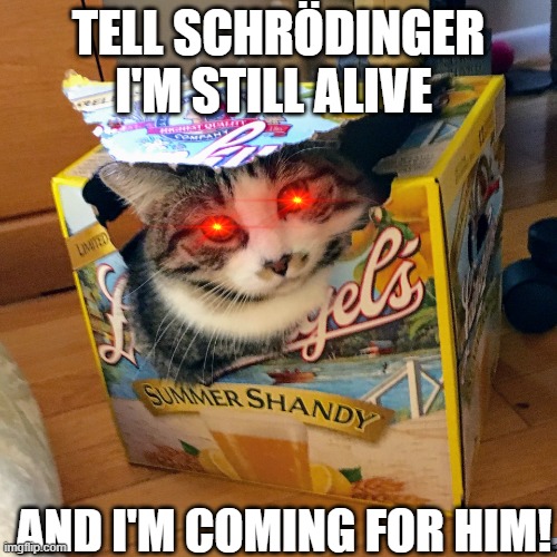 Cat in a box | TELL SCHRÖDINGER I'M STILL ALIVE; AND I'M COMING FOR HIM! | image tagged in cat in a box | made w/ Imgflip meme maker